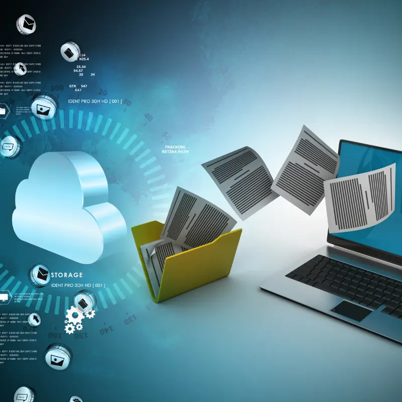 Data Backup & Recovery Setup